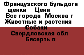 Французского бульдога щенки  › Цена ­ 35 000 - Все города, Москва г. Животные и растения » Собаки   . Свердловская обл.,Бисерть п.